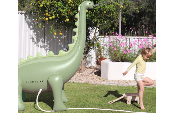 Make a Splash: The Ultimate Guide to Pool Floats – inflat360